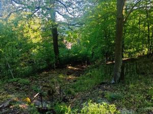 Prodej chaty, Ústí nad Labem - Brná, Pod Ostrým, 35 m2