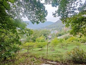 Prodej chaty, Ústí nad Labem - Brná, Pod Ostrým, 35 m2