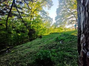 Prodej chaty, Ústí nad Labem - Brná, Pod Ostrým, 35 m2