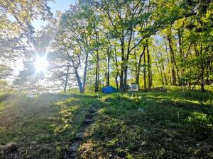 Prodej chaty, Ústí nad Labem - Brná, Pod Ostrým, 35 m2