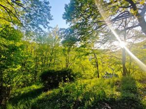 Prodej chaty, Ústí nad Labem - Brná, Pod Ostrým, 35 m2