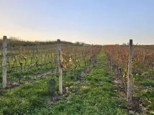 Prodej domu na klíč, Starý Poddvorov, 190 m2