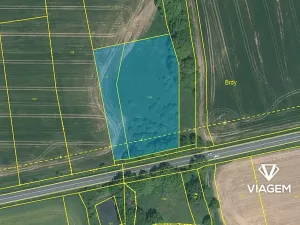 Prodej podílu zahrady, Staňkov, 701 m2