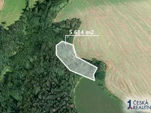 Prodej podílu lesa, Proseč, 1403 m2