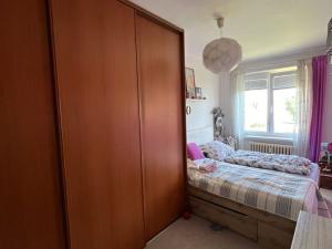 Prodej bytu 3+1, Pardubice - Zelené Předměstí, Pichlova, 63 m2