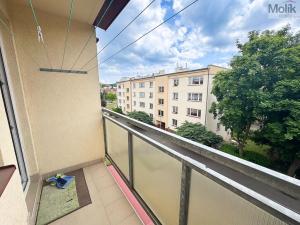 Prodej bytu 2+1, Teplice, Palackého, 64 m2