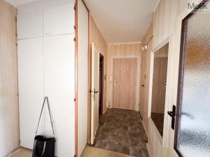 Prodej bytu 2+1, Teplice, Palackého, 64 m2