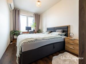 Pronájem bytu 2+kk, Praha - Hloubětín, Lehovecká, 50 m2