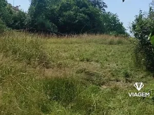 Prodej zahrady, Hrusice, 1427 m2
