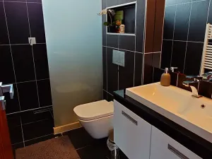 Pronájem rodinného domu, Hluboká nad Vltavou, Žitná, 170 m2