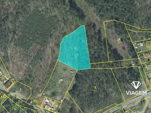 Prodej podílu lesa, Žinkovy, 1196 m2