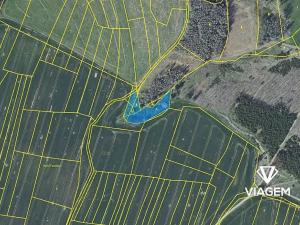 Prodej podílu lesa, Radošovice, 341 m2
