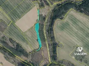 Prodej podílu lesa, Doksy, 3462 m2