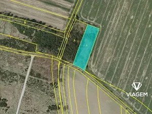 Prodej podílu lesa, Sviny, 688 m2