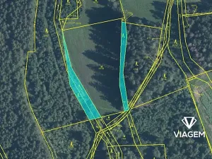 Prodej podílu lesa, Červená Řečice, 417 m2