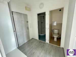 Prodej bytu 2+kk, Praha, Na domovině, 38 m2