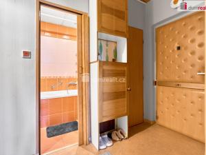 Prodej bytu 2+1, Ostrov, Masarykova, 60 m2