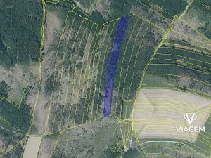 Prodej podílu lesa, Věžnice, 598 m2