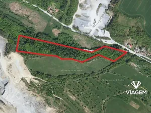 Prodej podílu lesa, Vyškov, 11163 m2