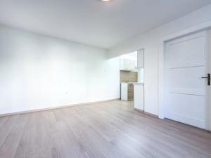Pronájem bytu 2+kk, Ústí nad Labem, Klíšská, 51 m2