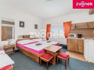 Prodej ubytování, Fryšták - Dolní Ves, Dolnoveská, 400 m2