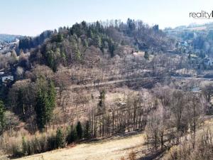 Prodej zahrady, Železný Brod, 369 m2