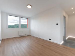 Pronájem bytu 2+kk, Bílina, Síbova, 40 m2
