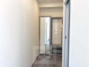 Pronájem bytu 1+1, Praha - Nusle, Boleslavova, 39 m2