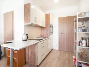 Pronájem bytu 1+kk, Olomouc, Topolová, 30 m2