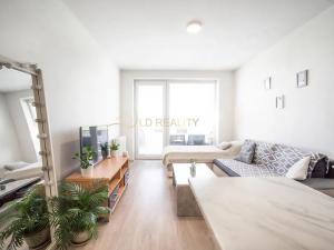 Pronájem bytu 1+kk, Olomouc, Topolová, 30 m2
