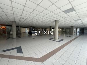 Pronájem obchodního prostoru, Brno, Heršpická, 400 m2