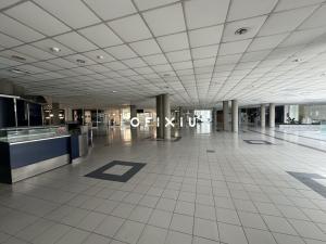 Pronájem obchodního prostoru, Brno, Heršpická, 1000 m2