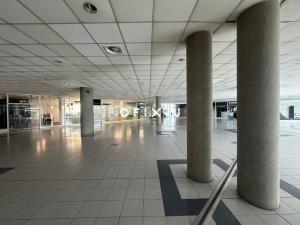 Pronájem obchodního prostoru, Brno, Heršpická, 1000 m2
