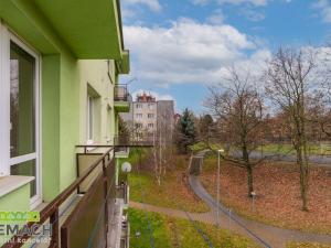 Pronájem bytu 1+1, Staré Město, Kopánky, 37 m2