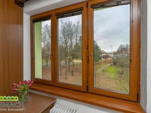 Pronájem bytu 1+1, Staré Město, Kopánky, 37 m2