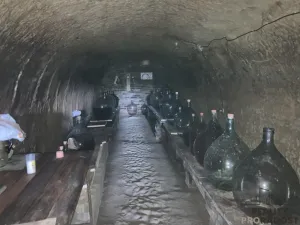 Prodej vinného sklepa, Chvalovice, 20 m2