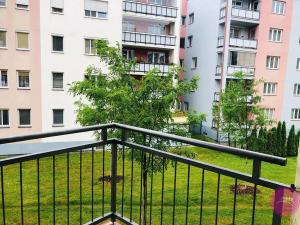Pronájem bytu 2+kk, Olomouc, Peškova, 58 m2