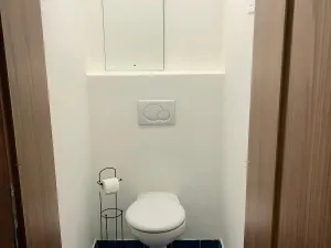 Pronájem bytu 2+kk, Olomouc, Peškova, 58 m2