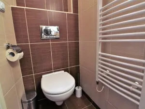 Pronájem bytu 1+kk, Praha - Karlín, Hybešova, 36 m2