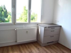 Pronájem bytu 1+1, Nepomuk, Družstevní, 39 m2