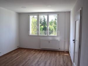 Pronájem bytu 1+1, Nepomuk, Družstevní, 39 m2