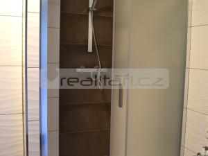 Pronájem bytu 1+1, Nepomuk, Družstevní, 39 m2