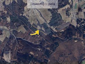 Prodej lesa, Šanov, 11657 m2