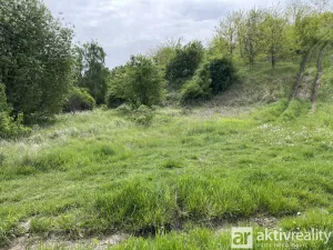 Prodej podílu 1/4 pozemku pro bydlení, Chýně, 1352 m2