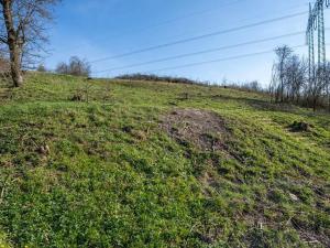 Prodej pozemku pro bydlení, Poříčany, Klučovská, 3639 m2