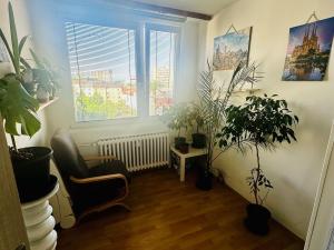Prodej bytu 3+1, Teplice - Trnovany, Zemská, 55 m2