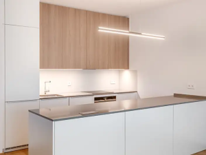 Pronájem bytu 4+kk, Praha - Vinohrady, Dudova, 132 m2