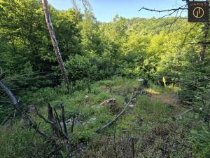 Prodej zahrady, Loděnice, 35 m2