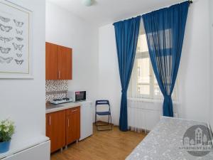 Pronájem bytu 1+kk, Praha - Nusle, Čestmírova, 20 m2