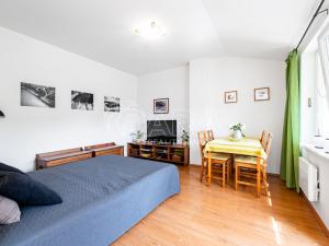 Prodej bytu 1+kk, Slapy, 32 m2